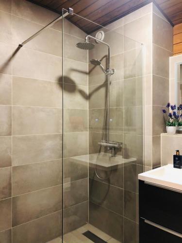 a shower with a glass door in a bathroom at Schans Appartements in Hermagor