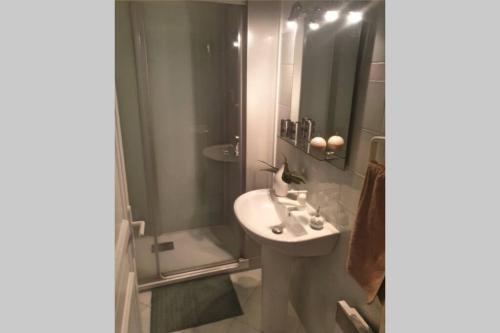 La salle de bains est pourvue d'un lavabo et d'une douche. dans l'établissement Itsas Aldea T2 à 3 min à pieds de la baie de St Jean de Luz, à Saint-Jean-de-Luz