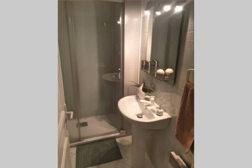 une salle de bain avec un lavabo et une douche dans l'établissement Itsas Aldea T2 à 3 min à pieds de la baie de St Jean de Luz, à Saint-Jean-de-Luz