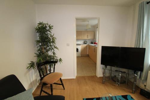a living room with a flat screen tv and a plant at Bolsover House in Bolsover