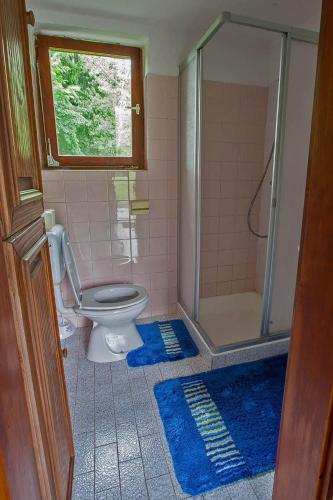 a bathroom with a toilet and a shower with blue rugs at PR`Cajhn in Radovljica