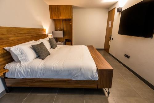 a bedroom with a large bed and a flat screen tv at Casa Olié in Oaxaca City