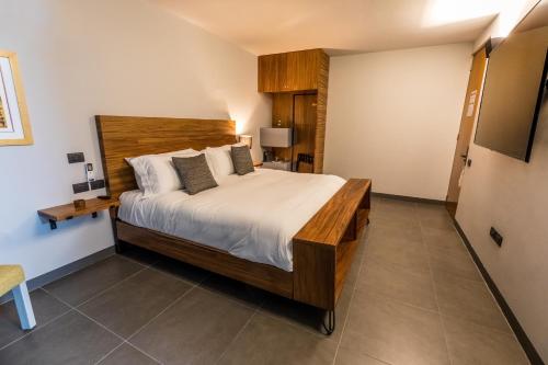 a bedroom with a large bed and a television at Casa Olié in Oaxaca City