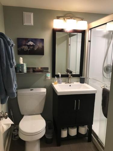 een badkamer met een toilet, een wastafel en een spiegel bij Boutique Style Apartment in the heart of SE in Portland