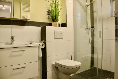 a white bathroom with a toilet and a shower at Herzog Wolfgang Studios- Zentral, Modern, Freundlich in Zweibrücken