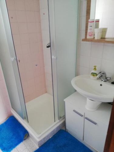 a bathroom with a shower and a sink at PR`Cajhn in Radovljica