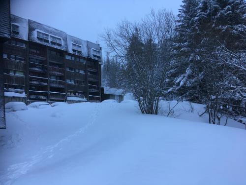 Fotografie z fotogalerie ubytování Appartement chalet Bellevue-pied de la montagne - Mont Dore v destinaci Le Mont-Dore