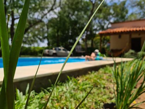 Golden Lodge – Photos 2