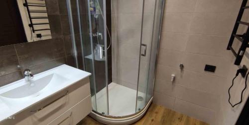 a bathroom with a shower and a sink at Ozas Green Apartment in Vilnius
