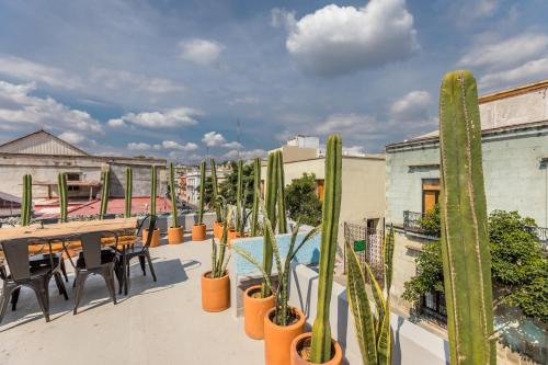 - un balcon avec une table, des chaises et un cactus dans l'établissement Casa Olié, à Oaxaca