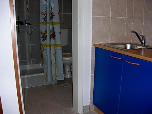 a bathroom with a sink and a shower with a toilet at Apartments Odalović in Bijela