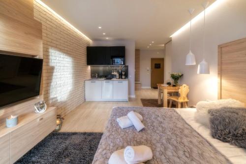 Aparthotel Giewontにあるテレビまたはエンターテインメントセンター
