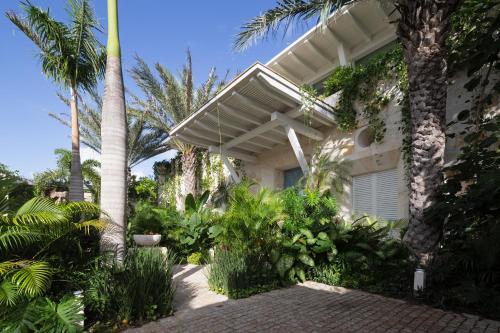 a house with palm trees and a patio at Villa Sha - Cancun Luxury Beachfront in Cancún