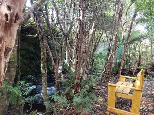 una panchina di legno in mezzo a una foresta di Riversong a Ohakune