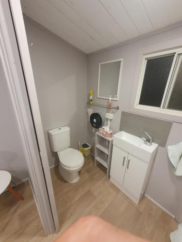 a small bathroom with a toilet and a sink at Trangie Caravan Park in Trangie