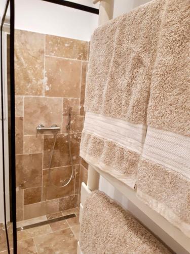 a bathroom with a shower with a shower curtain at L'Atelier des Magnolias in Aumont