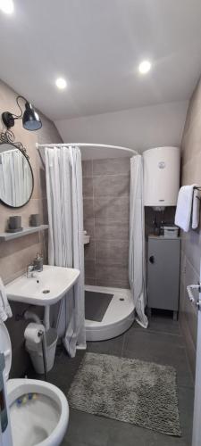 a bathroom with a sink and a toilet and a tub at Ušuškani Studio in Zlatibor