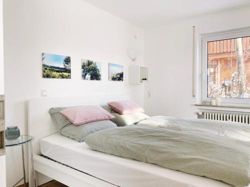 巴林根的住宿－Apartment Sonnenbaenkle，相簿中的一張相片
