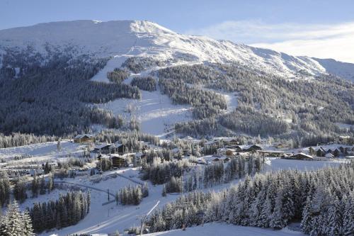 a snow covered mountain with trees and a ski slope at Mühlbacherhof in Rennweg