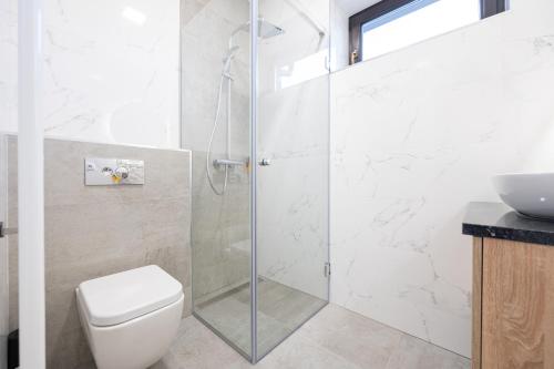 a bathroom with a shower with a toilet and a sink at Klia in Sînmartin