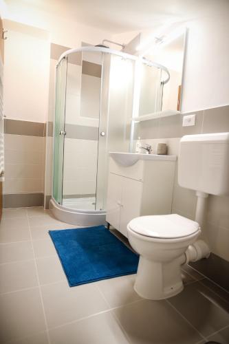 a bathroom with a toilet and a sink and a shower at Green House Alba Iulia in Alba Iulia