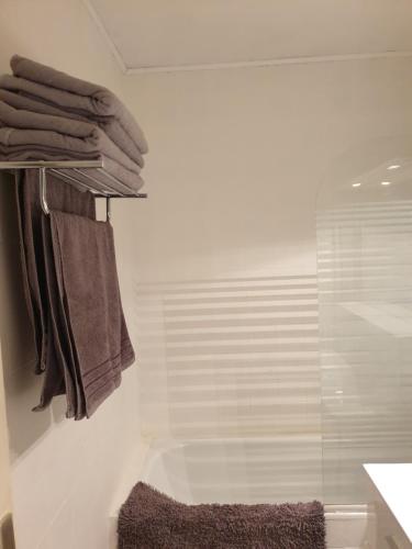 La salle de bains est pourvue d'une douche et d'un sèche-serviettes. dans l'établissement Mulhouse,Grand appart cosy&lumineux, 78m2 , pour 5 personnes, à Mulhouse