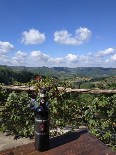 B&B Panoramic – Photos 3