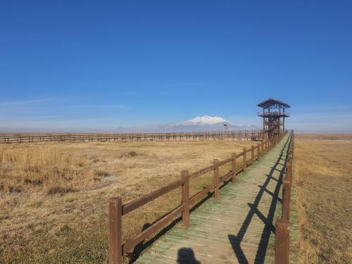 un paseo marítimo de madera en medio de un campo en Sultan Pansion Bird Paradise, en Ovaciftlik