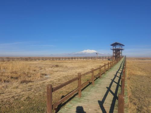 una passerella di legno in mezzo a un campo di Sultan Pansion Bird Paradise a Ovaciftlik