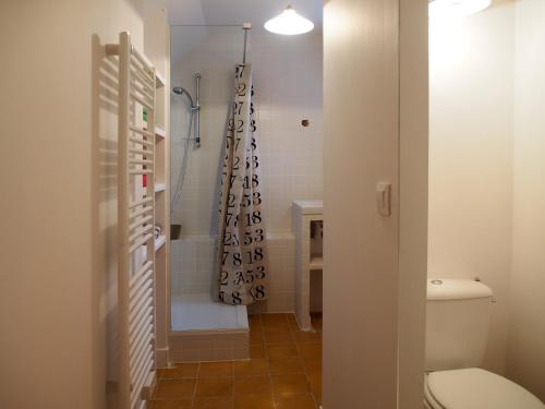 トゥールにあるL Escalier ROUGEのバスルーム(シャワー、トイレ付)