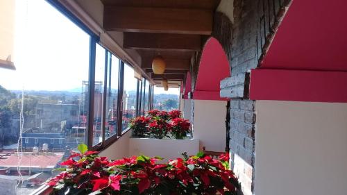 Hotel Villa de Cortez – Photos 3