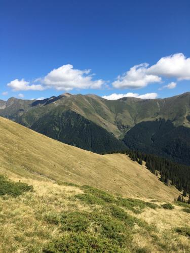 a grassy hill with mountains in the background at Hotel-Restaurant Siesta Balea in Cumpăna