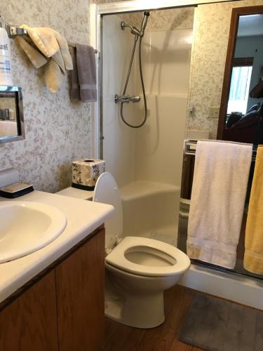 y baño con aseo, lavabo y ducha. en Grand Canyon Cottage at Historic Wrigley Ranch with Horseback Riding & Shooting, en Parks