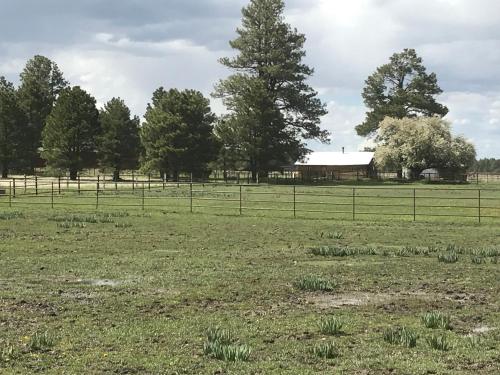 a field with a fence and trees and a barn at Grand Canyon Cottage at Historic Wrigley Ranch with Horseback Riding & Hiking in Parks