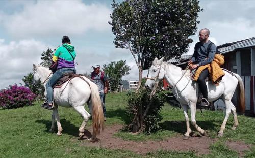 un grupo de personas montando caballos en un campo en VALLE DE LAS CECROPIAS, en Salento