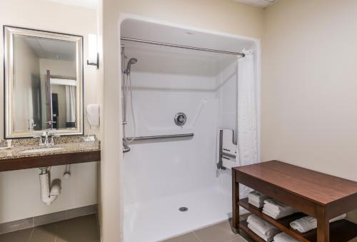 a bathroom with a shower and a sink and a mirror at Comfort Suites Fort Stockton in Fort Stockton