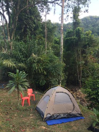 a tent and a red chair in a forest at Homebar in Ko Chang