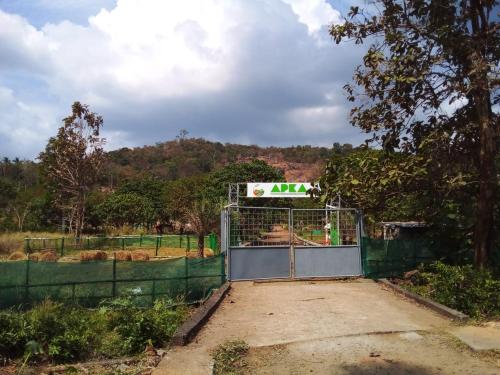 APKA ECOvillage – Photos 4