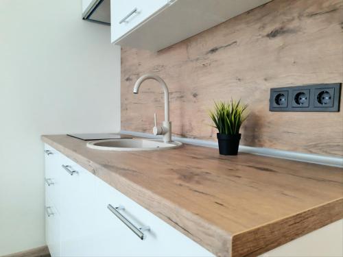 a kitchen with a wooden counter top with a sink at M&M Apartment VI Self CHECK-IN in Panevėžys