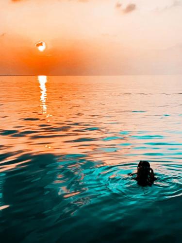 a person swimming in the water at sunset at Blue Coral Vashafaru Maldives in Vashafaru