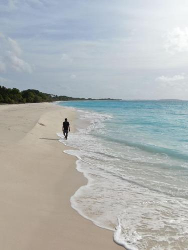 a man walking on the beach with a surfboard at Blue Coral Vashafaru Maldives in Vashafaru