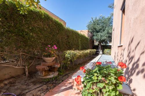 a garden with red flowers next to a building at Margo Zimmer in Midreshet Ben Gurion