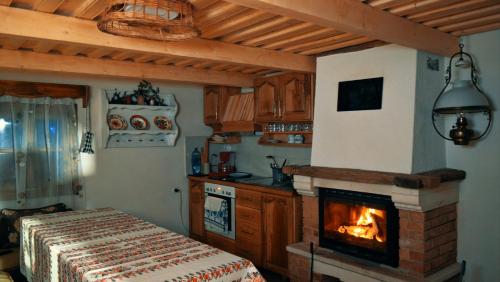 a kitchen with a stove and a fireplace at Casutele Bunicii in Ocna Şugatag