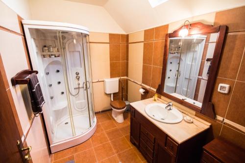 a bathroom with a shower and a sink and a toilet at Villa Townhouse 36 Sibiu in Sibiu