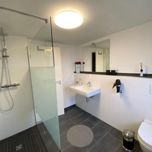 a bathroom with a sink and a shower at über den Dächern von Neheim I in Arnsberg
