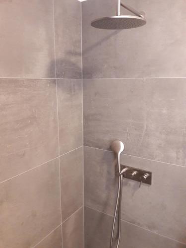 a shower with a shower head in a bathroom at Ferien am Wasser in Wiesbaden