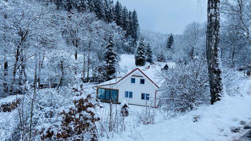 a small white house in a snow covered forest at Chalupa u Bohumila in Rybná nad Zdobnicí
