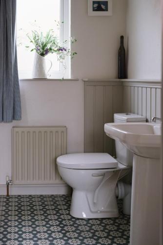 a bathroom with a toilet and a sink and a window at Elm Tree Cottage in Fivemiletown