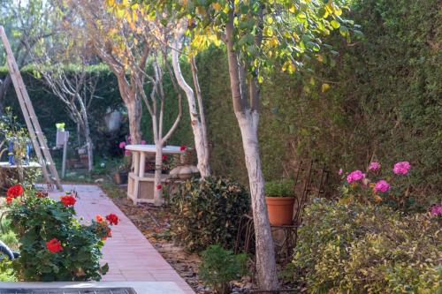 a garden with pink flowers and a walkway at Margo Zimmer in Midreshet Ben Gurion