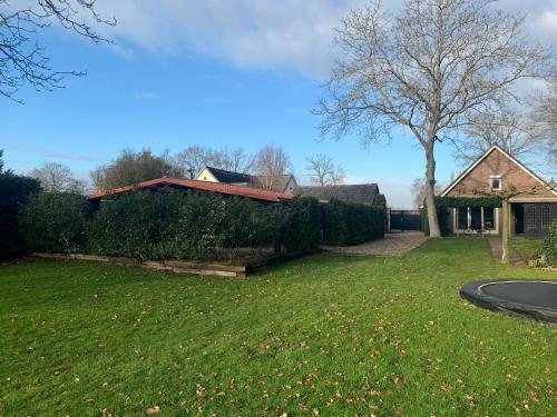 a yard with a house and a tree at So Rosie in Babberich